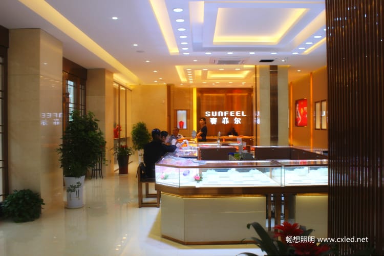 界首·王氏珠宝城珠宝照明工程案例