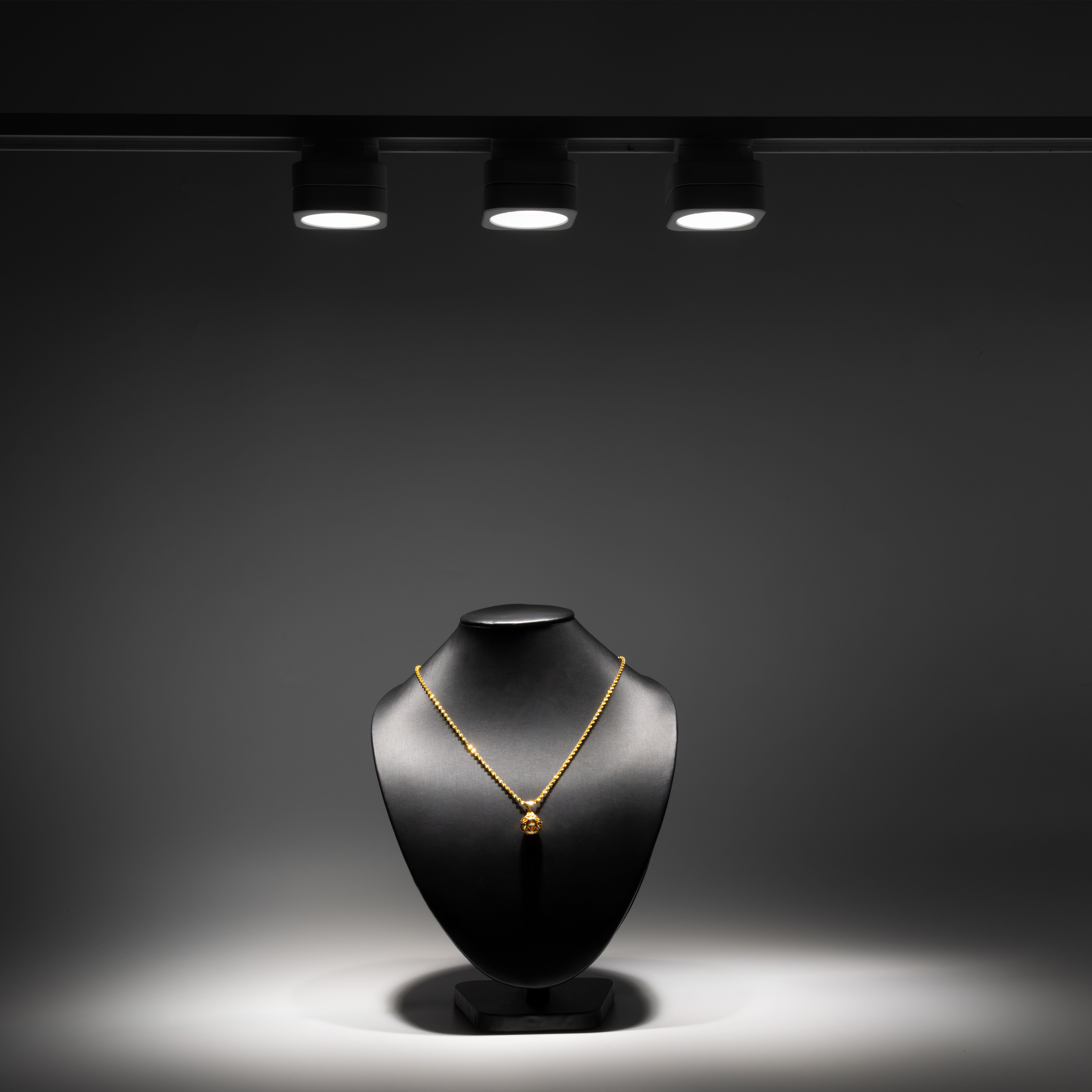 Multi-functional track spotlights